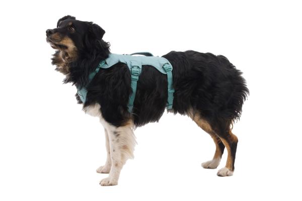 Ruffwear Web Master Hundegeschirr River Rock Green Gr. S Ruffwear Web Master Hundegeschirr River Rock Green Gr. S